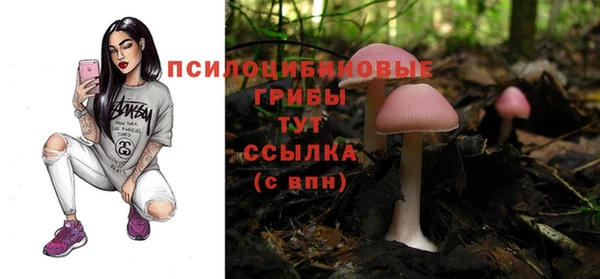 spice Балахна