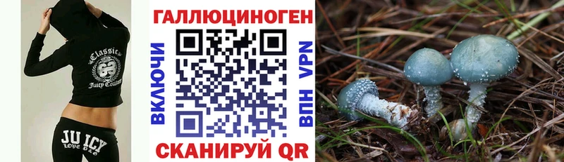 Псилоцибиновые грибы мухоморы купить наркоту Лагань